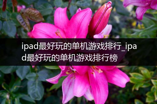 ipad最好玩的单机游戏排行_ipad最好玩的单机游戏排行榜