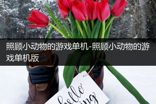 照顾小动物的游戏单机-照顾小动物的游戏单机版