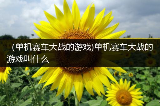 （单机赛车大战的游戏)单机赛车大战的游戏叫什么