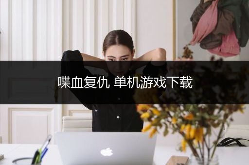 喋血复仇 单机游戏下载