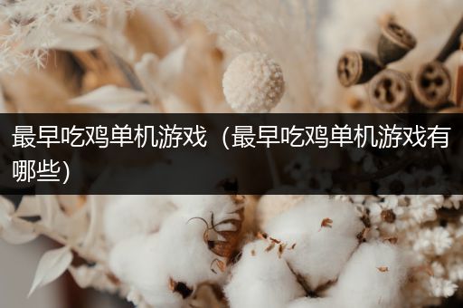 最早吃鸡单机游戏（最早吃鸡单机游戏有哪些）