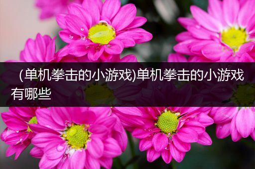 （单机拳击的小游戏)单机拳击的小游戏有哪些