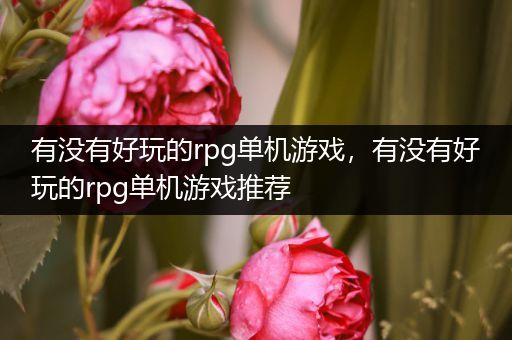 有没有好玩的rpg单机游戏，有没有好玩的rpg单机游戏推荐