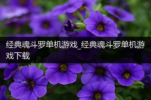 经典魂斗罗单机游戏_经典魂斗罗单机游戏下载