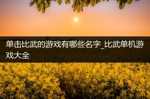 单击比武的游戏有哪些名字_比武单机游戏大全