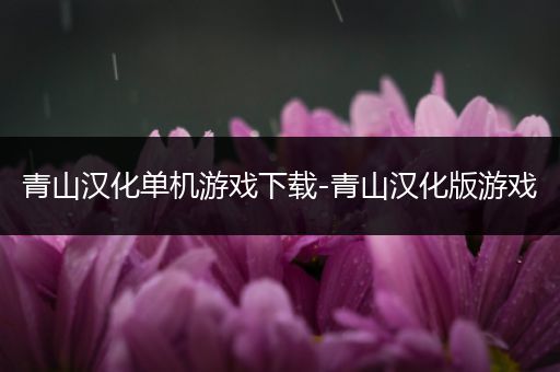 青山汉化单机游戏下载-青山汉化版游戏