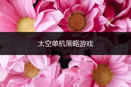 太空单机策略游戏