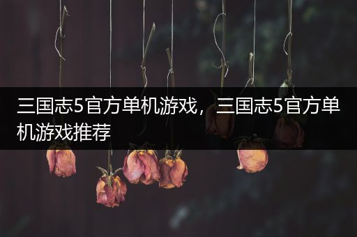 三国志5官方单机游戏，三国志5官方单机游戏推荐