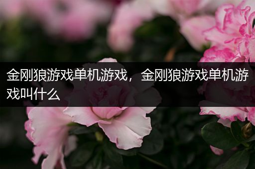金刚狼游戏单机游戏，金刚狼游戏单机游戏叫什么