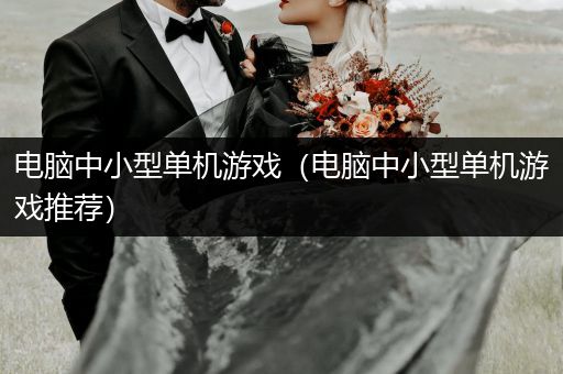电脑中小型单机游戏（电脑中小型单机游戏推荐）