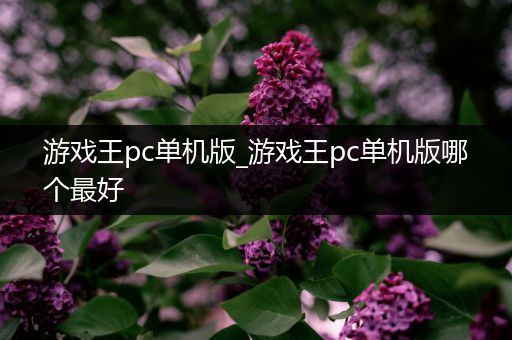 游戏王pc单机版_游戏王pc单机版哪个最好