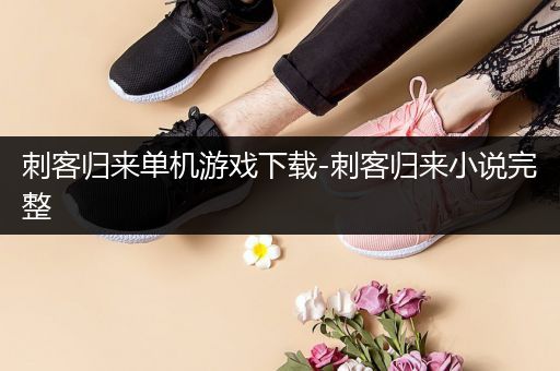 刺客归来单机游戏下载-刺客归来小说完整