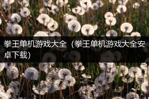 拳王单机游戏大全（拳王单机游戏大全安卓下载）
