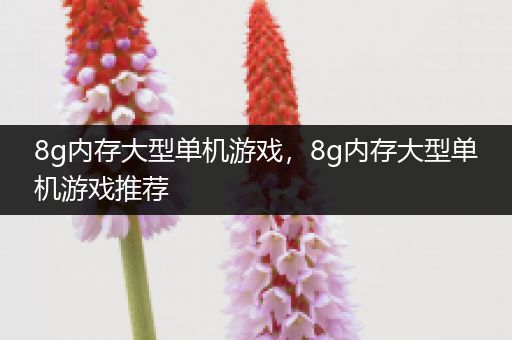 8g内存大型单机游戏，8g内存大型单机游戏推荐