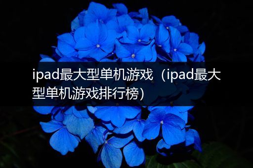 ipad最大型单机游戏（ipad最大型单机游戏排行榜）