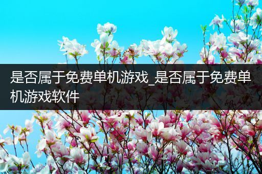 是否属于免费单机游戏_是否属于免费单机游戏软件