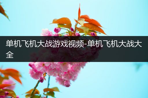 单机飞机大战游戏视频-单机飞机大战大全