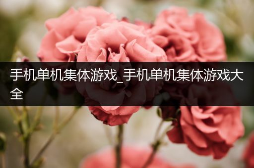 手机单机集体游戏_手机单机集体游戏大全