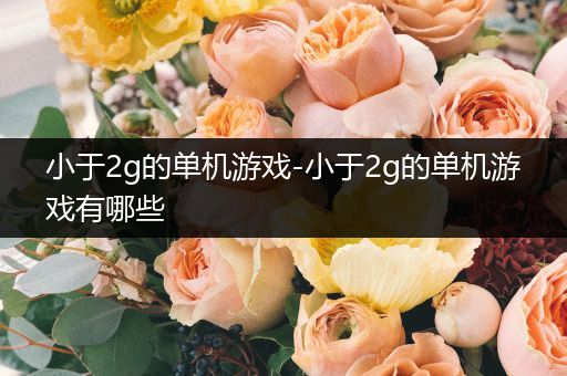 小于2g的单机游戏-小于2g的单机游戏有哪些