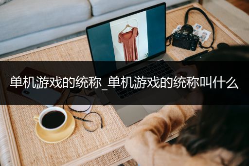 单机游戏的统称_单机游戏的统称叫什么