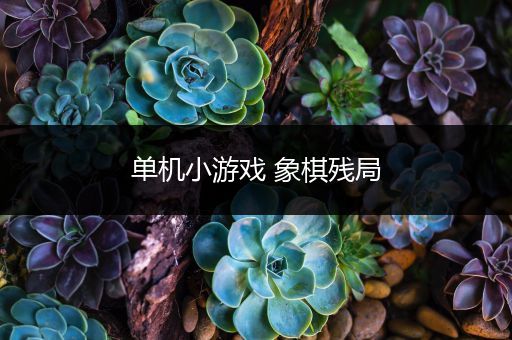 单机小游戏 象棋残局