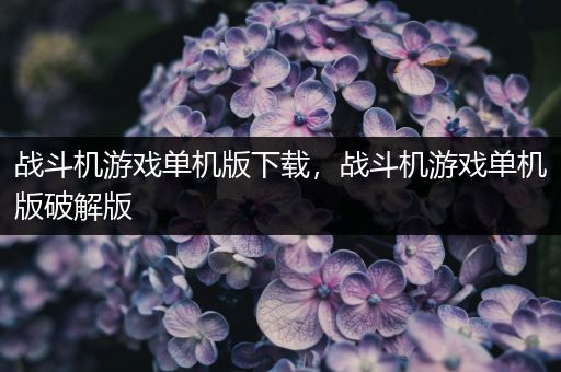 战斗机游戏单机版下载，战斗机游戏单机版破解版