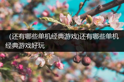 （还有哪些单机经典游戏)还有哪些单机经典游戏好玩