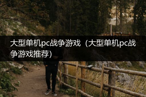 大型单机pc战争游戏（大型单机pc战争游戏推荐）