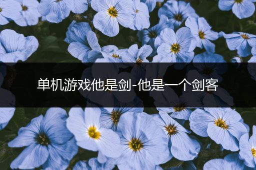 单机游戏他是剑-他是一个剑客