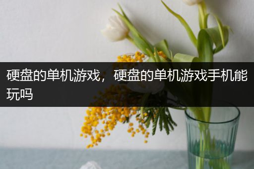 硬盘的单机游戏，硬盘的单机游戏手机能玩吗
