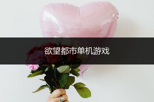 欲望都市单机游戏