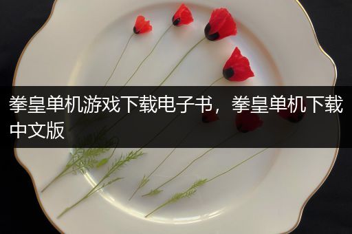 拳皇单机游戏下载电子书，拳皇单机下载中文版