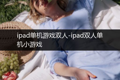 ipad单机游戏双人-ipad双人单机小游戏