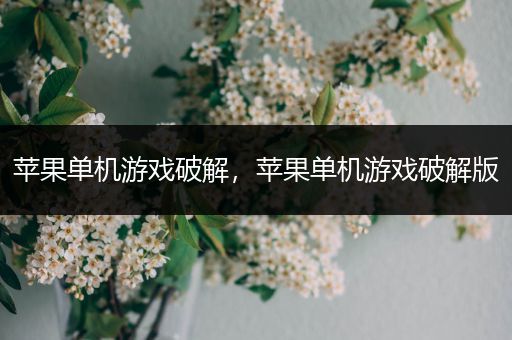 苹果单机游戏破解，苹果单机游戏破解版
