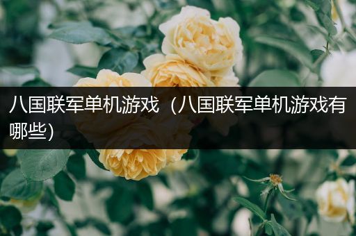 八国联军单机游戏（八国联军单机游戏有哪些）