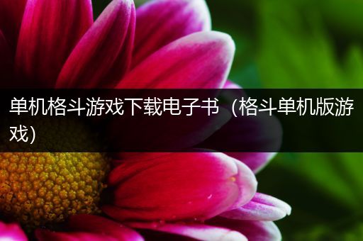 单机格斗游戏下载电子书（格斗单机版游戏）