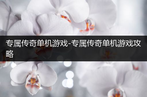 专属传奇单机游戏-专属传奇单机游戏攻略