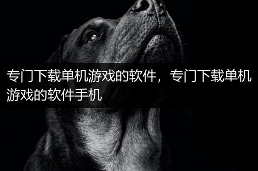 专门下载单机游戏的软件，专门下载单机游戏的软件手机