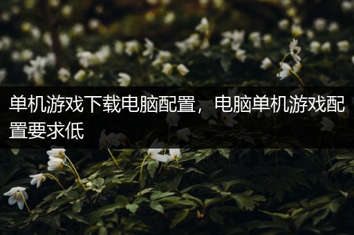 单机游戏下载电脑配置，电脑单机游戏配置要求低