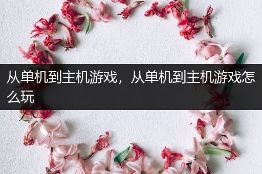 从单机到主机游戏，从单机到主机游戏怎么玩
