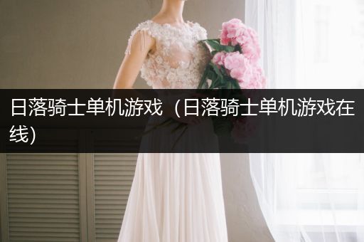 日落骑士单机游戏（日落骑士单机游戏在线）