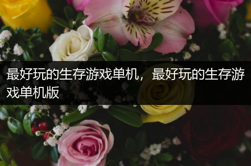 最好玩的生存游戏单机，最好玩的生存游戏单机版