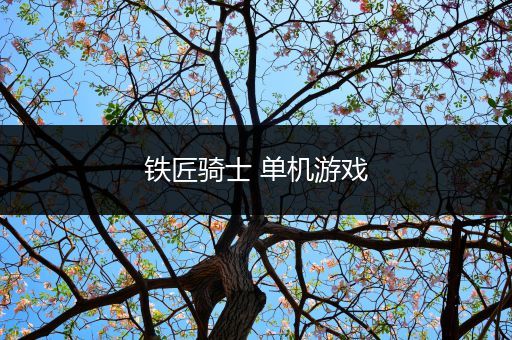 铁匠骑士 单机游戏