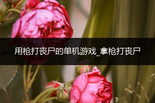 用枪打丧尸的单机游戏_拿枪打丧尸