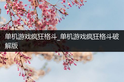 单机游戏疯狂格斗_单机游戏疯狂格斗破解版