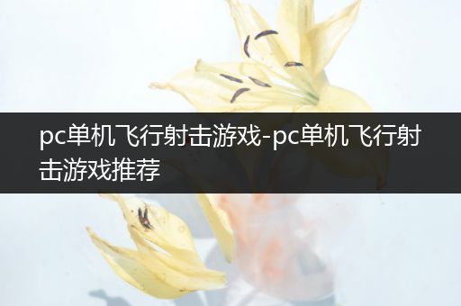 pc单机飞行射击游戏-pc单机飞行射击游戏推荐