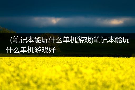 （笔记本能玩什么单机游戏)笔记本能玩什么单机游戏好