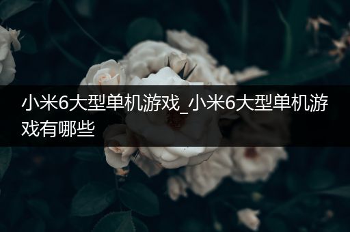 小米6大型单机游戏_小米6大型单机游戏有哪些