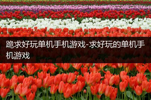 跪求好玩单机手机游戏-求好玩的单机手机游戏