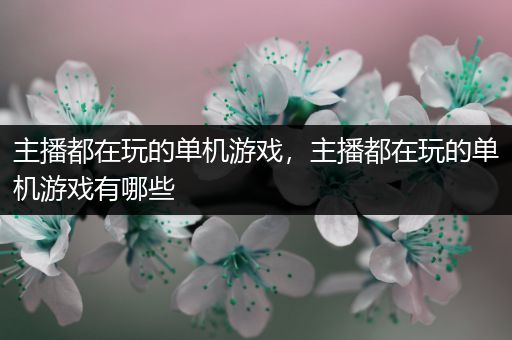 主播都在玩的单机游戏，主播都在玩的单机游戏有哪些